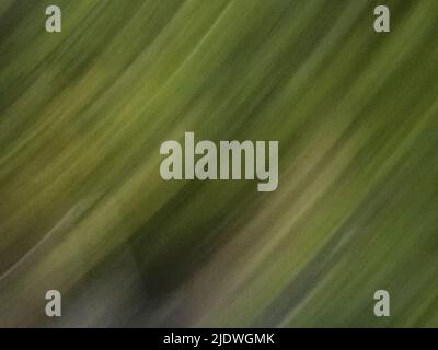 Blurred green background with directional diagonal lines and space for copy Stock Photo