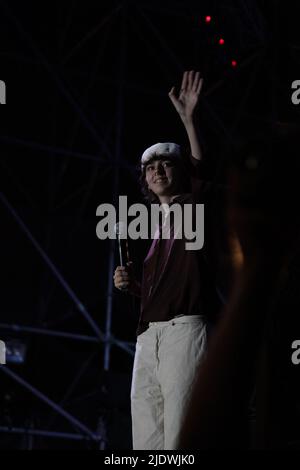 January 3, 2008, Naples, Italy: Ariete is an italian singer-songwriter in Naples on the occasion of the ''Pizza Village 2022'', the concert also had the Psicologi as guests. (Credit Image: © Arianna Di Micco/Pacific Press via ZUMA Press Wire) Stock Photo