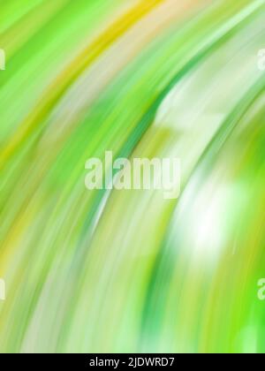 Chlorine greenery  blurred background. Pistachio color blur bokeh. Stock Photo