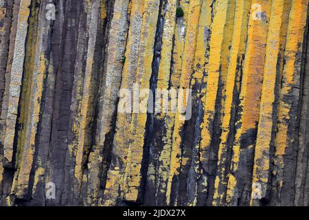 lichen and algae on basalt columns of Fingal's Cave on Staffa, Scotland, UK Stock Photo