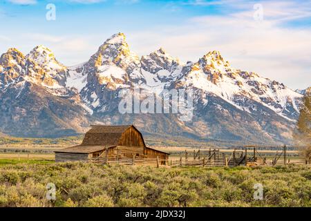 Sunrise at the Historic John Mouton Barn in Grand Teton National Park near Jackson Hole, Wyoming Stock Photo