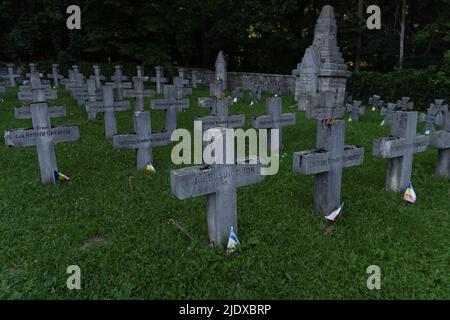 Sinaia, Santiago, Romania. 23rd June, 2022. A cemetery where Romanian soldiers from the First World War were buried in Sinaia, Romania. (Credit Image: © Matias Basualdo/ZUMA Press Wire) Stock Photo