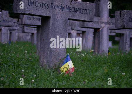 Sinaia, Santiago, Romania. 23rd June, 2022. A cemetery where Romanian soldiers from the First World War were buried in Sinaia, Romania. (Credit Image: © Matias Basualdo/ZUMA Press Wire) Stock Photo