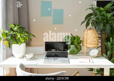 Laptop kept with coffee cup and houseplants on desk in home office Stock Photo