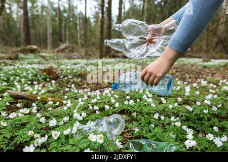 Hands of woman picking up empty plastic bottles from meadow Stock Photo