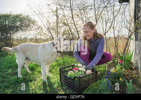 Smiling woman planting flowers crouching by dog in garden Stock Photo