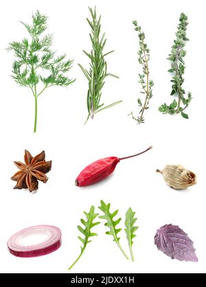 Set of fresh aromatic herbs and spices on white background Stock Photo