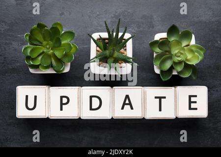Word UPDATE made of cubes and succulents on dark background Stock Photo