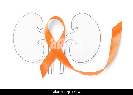 Orange awareness ribbon and paper kidneys on white background Stock Photo