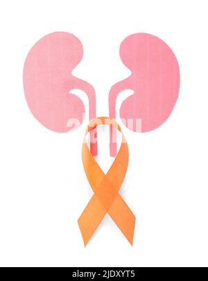 Orange awareness ribbon and paper kidneys on white background Stock Photo