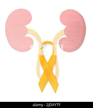Orange awareness ribbon and paper kidneys on white background Stock Photo