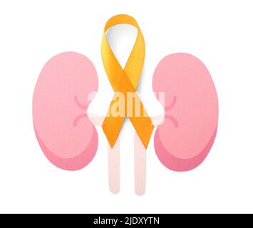 Orange awareness ribbon and paper kidneys on white background Stock Photo