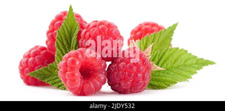 Raspberry with leaves. Raspberry isolated on white background. Stock Photo