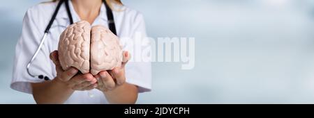 Close-up Of A Doctor's Hand Holding Human Brain Model Stock Photo