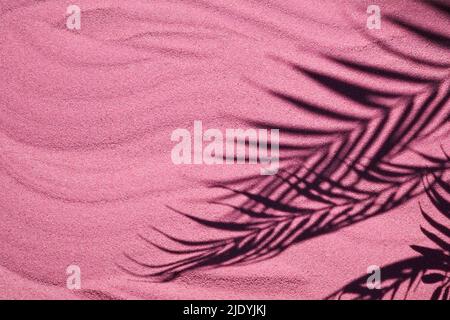Pink sand texture. Sandy beach with palm shadow for product background. Top view Stock Photo