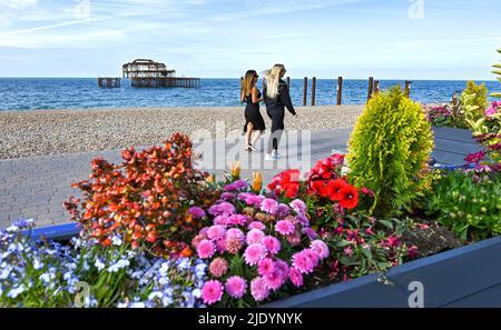 Brighton UK 2nd June 2022 - Walkers pass by the West Pier in Brighton on a bright sunny morning as cooler weather is forecast for most parts of the UK over the next few days: Credit Simon Dack / Alamy Live News Stock Photo