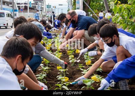 Japan. 13th June, 2022. Capt. J M Montagnet, Naval Air Facility (NAF) Atsugi commanding officer, works together with Zama-Minami Junior High School students volunteers to plant flowers during a community relations event. Sixteen Sailors joined 80 7th grade students to complete the annual beautification project. Credit: U.S. Navy/ZUMA Press Wire Service/ZUMAPRESS.com/Alamy Live News Stock Photo
