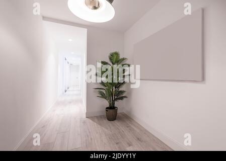 Entrance hall of a house with a long distributor hall with a light wooden floor, white wooden doors and access to several rooms Stock Photo