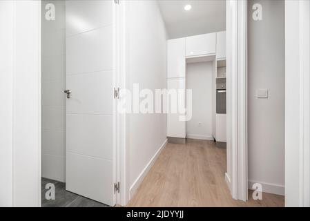 Empty apartment hallway with light oak floored hallways, doors to other rooms, and white painted walls Stock Photo