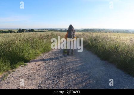 Wessex ridgeway. Edge of Salisbury Plain. chalk plateau. Wiltshire. West Country. South West. England. UK Stock Photo