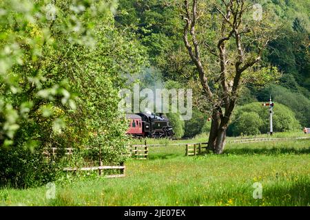 SteamTrain on the North Yorks moors railway at Levisham, North Yorkshire Moors National Park, Northern England, UK Stock Photo