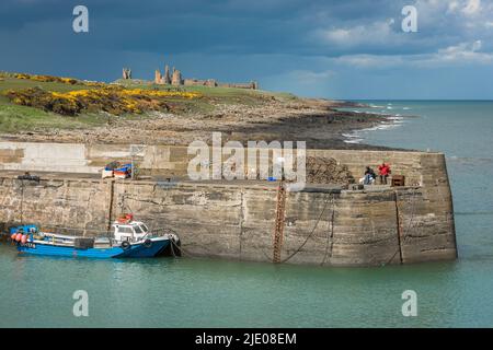 UK coast, view in late spring of the harbour wall in Craster with the ruins of Dunstanburgh Castle visible in the distance, Northumberland coast, UK Stock Photo