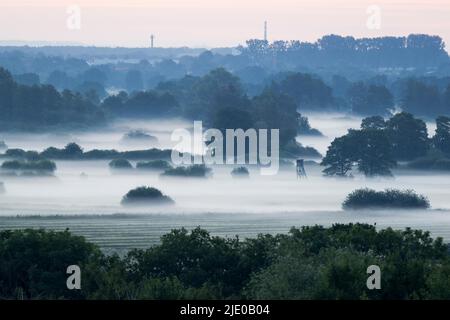 Ground fog in the Meerbruchwiesen, Steinhuder Meer, Lower Saxony Stock Photo