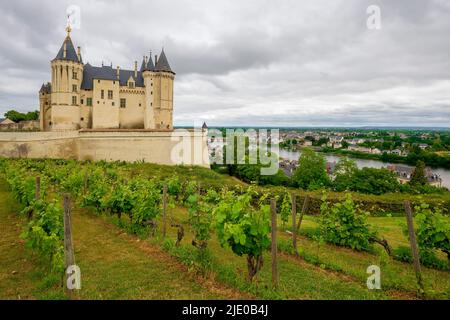 Chateau De Saumur. Built 10th century, is located in the French town of Saumur, in the Maine-et-Loire département. Stock Photo