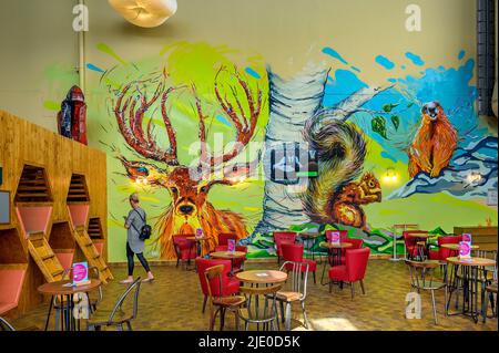 Climbing walls, climbing arena and cafe, Center Parcs, park near Leutkirch, Allgaeu, Baden-Wuerttemberg, Germany Stock Photo