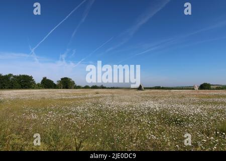 The Longstones. Adam and Eve stones. Beckhampton Avenue. Avebury. Wessex ridgeway. Wiltshire. Dorset. West Country. South West. England. UK Stock Photo