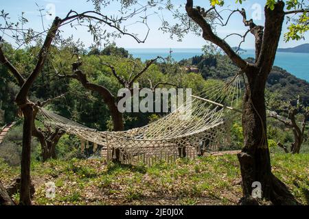 hammock tied to olive trees in a garden in the Highlands above the sea Stock Photo