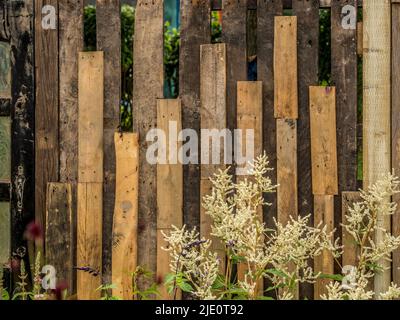 Wooden garden fence made from recycled old deconstructed pallets. Stock Photo
