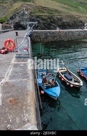 Fisherman offloading his catch at Mullion Harbour, Cornwall Stock Photo