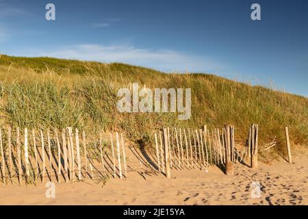 Sand dune at Llandudno West Shore, North Wales coast Stock Photo
