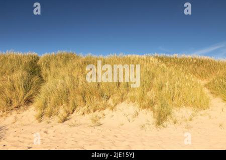 Sand dune at Llandudno West Shore, North Wales coast Stock Photo