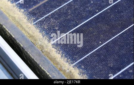 Pollen reduces electricity feed-in to solar panels Stock Photo