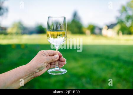 Woman hand holding and turning glass of white wine over green nature background. Stock Photo