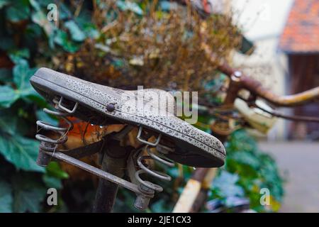 Rusty bicycle with tendrils