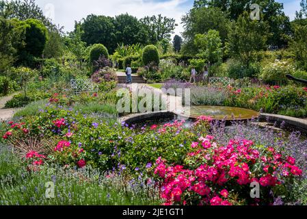 Water fountain in Cottage Garden in June, RHS Wisley Gardens, Surrey, England, UK Stock Photo