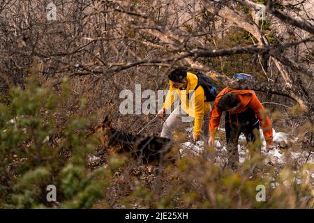 Amazing and handsome male friends are taking a small break with the dog Stock Photo