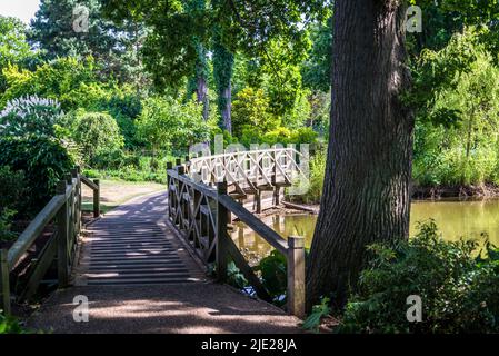 Lake at the Seven Acres, Wisley Garden, Surrey, UK Stock Photo