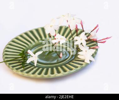 Pink jasmine flowers and buds on a green plate isolated on white background Stock Photo