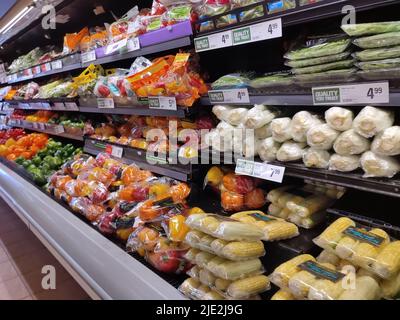 The selection of vegetables was displayed in the local supermarket's grocery area for local customers to make the best selection. Stock Photo