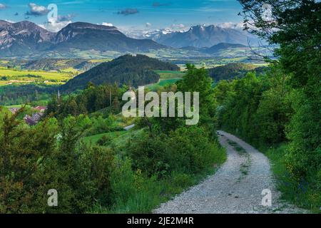 Idyllic landscape in French Alps. Curved road through the green hills with high mountains on the background. Summer postcard from Provence, France Stock Photo