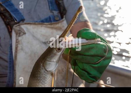 Peoria, Illinois, Dave Buchanan fishes for catfish on the Illinois