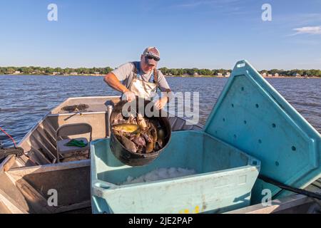 Peoria, Illinois, Dave Buchanan fishes for catfish on the Illinois River.  He uses a trotline--a long line from which a hundred or more baited hooks  Stock Photo - Alamy