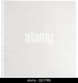 Checked spiral notebook page paper background old aged white chequered ring binder sheet flat lay A4 copy space isolated vertical grey squared pattern Stock Photo