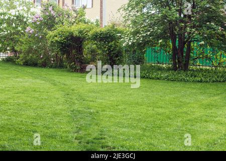 Freshly mown grass green lawn surrounded with different kinds of trees, bushes, plants in backyard of garden in summer. Stock Photo