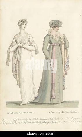 chinese dress ladies 1894 Victorian Lady Winter Coat Dress Hat Lithograph main image 0