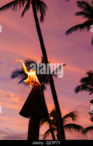 Palm tree silhouettes and the flame from a tiki torch dances at sunset in front of a colorful Hawaiian sky. Stock Photo